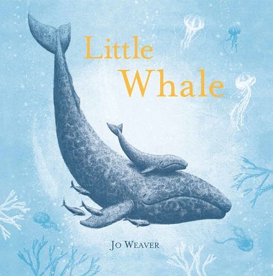 Jo Weaver - Little Whale, Inbunden. Tillgänglighet: Tillfälligt slut