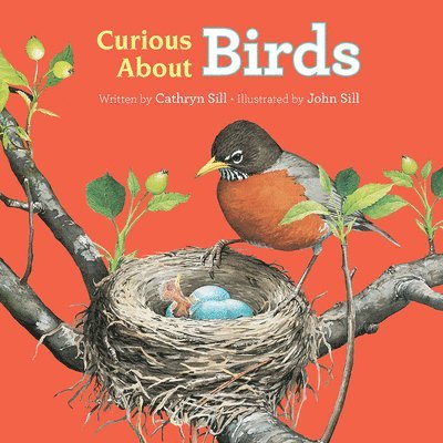 Cathryn Sill - Curious About Birds, Kartonnage