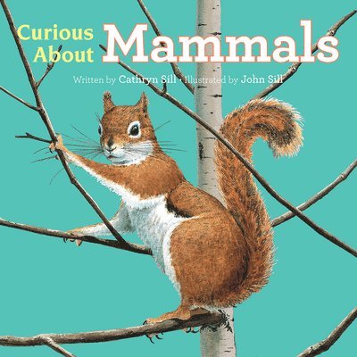 Cathryn Sill - Curious About Mammals, Kartonnage