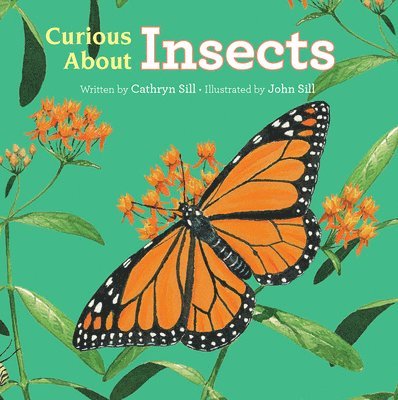 Cathryn Sill - Curious About Insects, Kartonnage