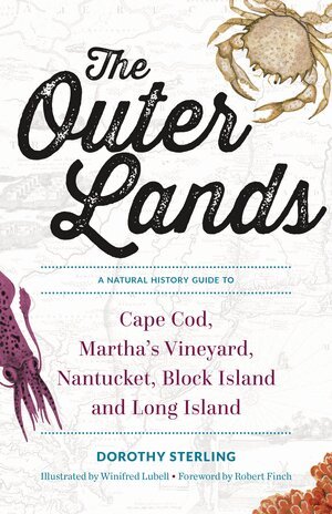 Dorothy Sterling - Outer Lands, Häftad