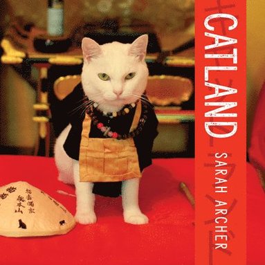 Catland av Sarah Archer