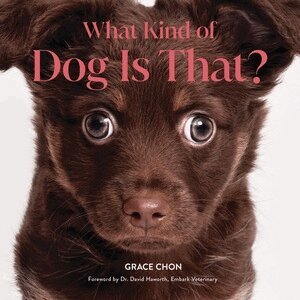 Grace Chon - What Kind of Dog Is That?, Inbunden