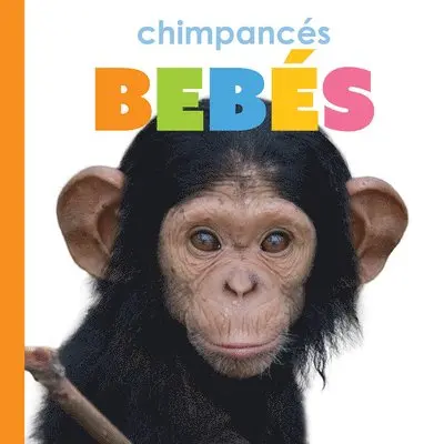 Meg Greve - Chimpances Bebes, Häftad. Tillgänglighet: Lägg i varukorg