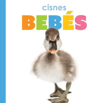 Meg Greve - Cisnes Bebes, Häftad. Tillgänglighet: Lägg i varukorg