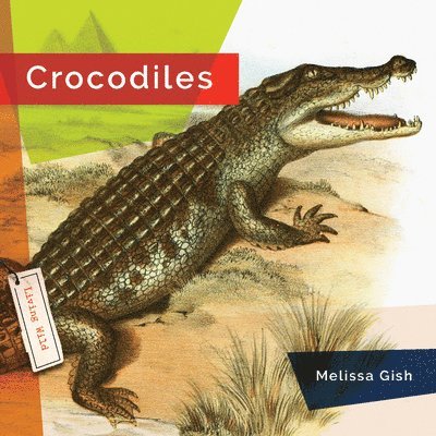 Melissa Gish - Crocodiles, Häftad