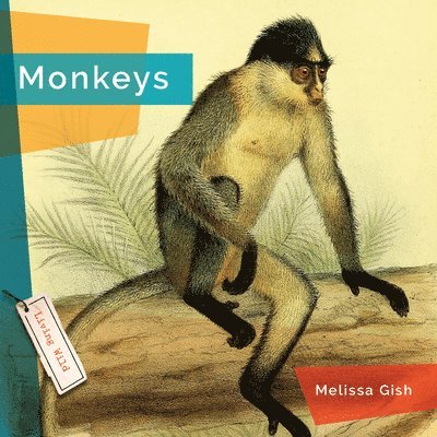 Melissa Gish - Monkeys, Häftad