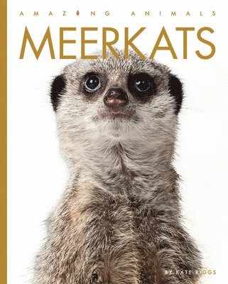 Kate Riggs - Meerkats, Häftad. Tillgänglighet: Lägg i varukorg