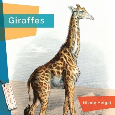 Nicole Helget - Giraffes, Häftad