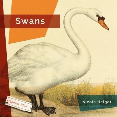 Nicole Helget - Swans, Häftad