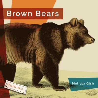 Melissa Gish - Brown Bears, Häftad