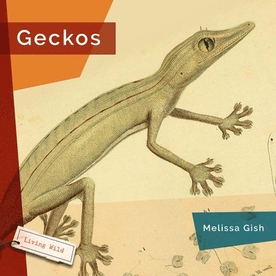 Melissa Gish - Geckos, Häftad