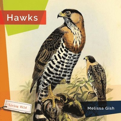 Melissa Gish - Hawks, Häftad
