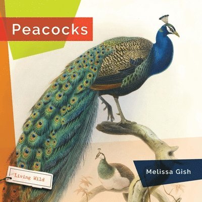 Melissa Gish - Peacocks, Häftad