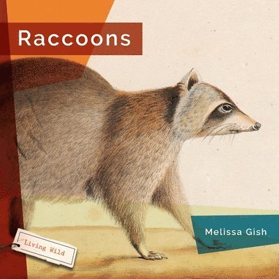 Melissa Gish - Raccoons, Häftad