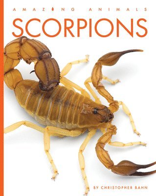 Christopher Bahn - Scorpions, Häftad