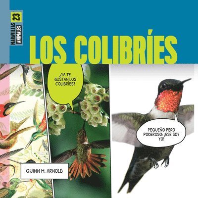 Quinn M. Arnold - Los Colibries, Häftad