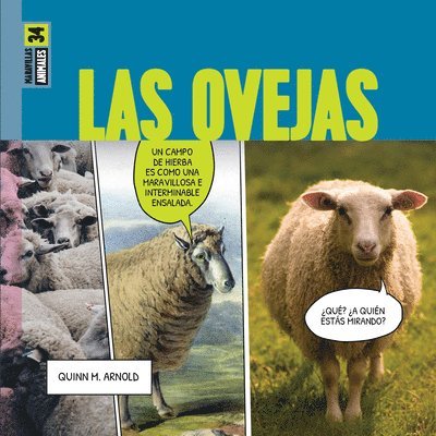 Quinn M. Arnold - Las Ovejas, Häftad