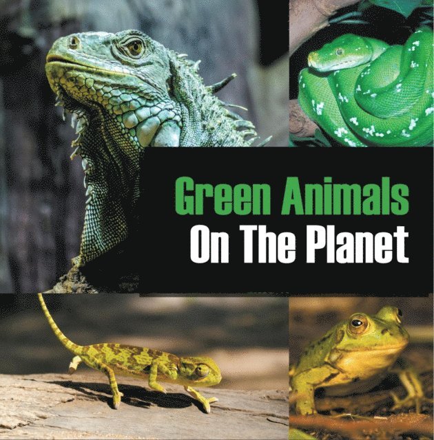 Baby Professor - Green Animals On The Planet, E-bok