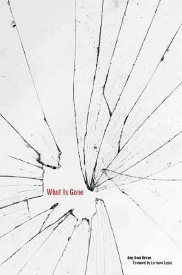 Amy Knox Brown - What Is Gone, Inbunden. Tillgänglighet: Tillfälligt slut