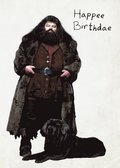 Harry Potter: Hagrid's Cake Pop-Up Card