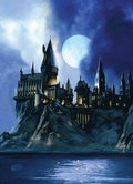 Harry Potter: Hogwarts Pop-Up Card