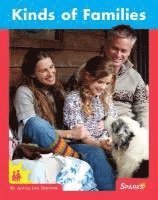 Jenna Lee Gleisner - Kinds of Families, Häftad