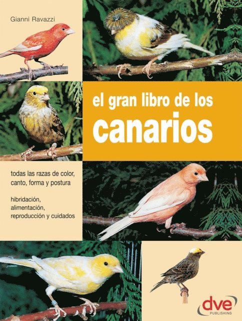 Gianni Ravazzi - El gran libro de los canarios, E-bok. Tillgänglighet: Lägg i varukorg