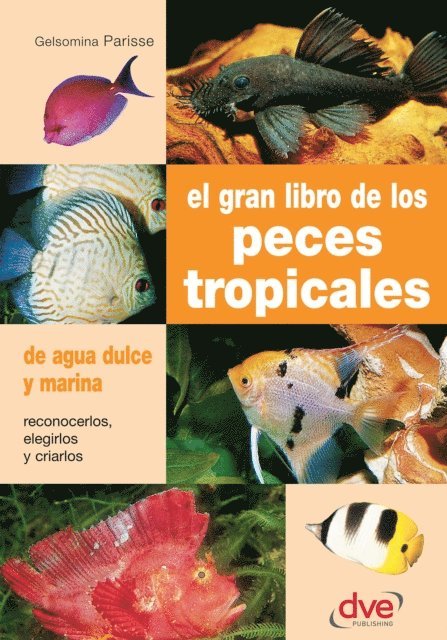 Gelsomina Parisse - El gran libro de los peces tropicales, E-bok. Tillgänglighet: Lägg i varukorg
