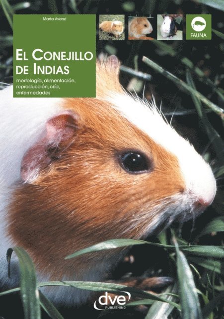 Marta Avanzi - El Conejillo de Indias. Morfología, alimentación, reproducción, prevención y tratamiento de las enfermedades, E-bok. Tillgänglighet: Lägg i varukorg