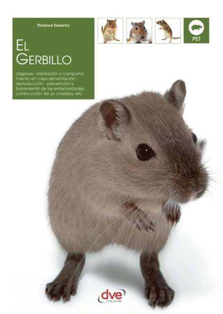 Florence Desachy - El gerbillo, E-bok. Tillgänglighet: Lägg i varukorg