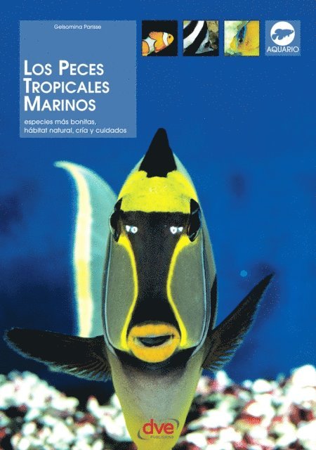 Gelsomina Parisse - Los peces tropicales marinos, E-bok. Tillgänglighet: Lägg i varukorg