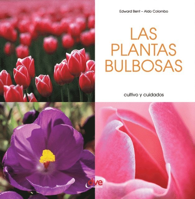 Aldo Colombo, Edward Bent - Las plantas bulbosas - Cultivo y cuidados, E-bok. Tillgänglighet: Lägg i varukorg