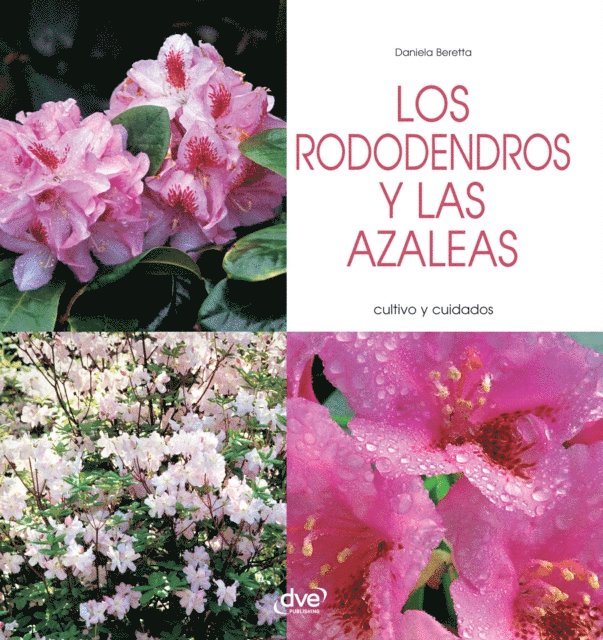 Daniela Beretta - Los rododendros y las azaleas - Cultivo y cuidados, E-bok. Tillgänglighet: Lägg i varukorg