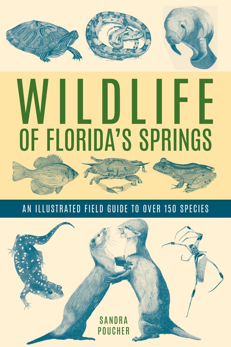 Sandra Poucher - Wildlife of Florida's Springs, Häftad. Tillgänglighet: Lägg i varukorg