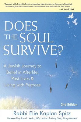 Elie Kaplan Spitz - Does the Soul Survive? (2nd Edition), Inbunden. Tillgänglighet: Lägg i varukorg
