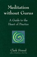 Meditation without Gurus