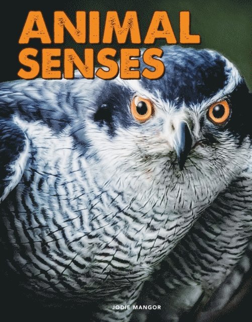 Jodie Mangor - Animal Senses, E-bok