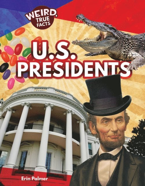 Erin Palmer - U.S. Presidents, E-bok