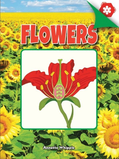 Annette Whipple - Flowers, E-bok