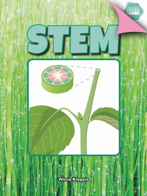 Alicia Klepeis - Stem, E-bok