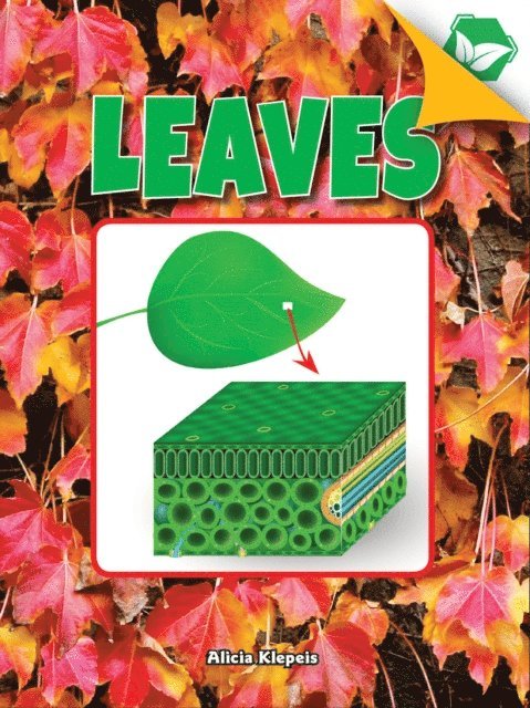 Alicia Klepeis - Leaves, E-bok