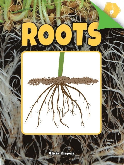 Alicia Klepeis - Roots, E-bok