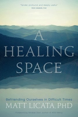 Matt Licata - Healing Space, Häftad