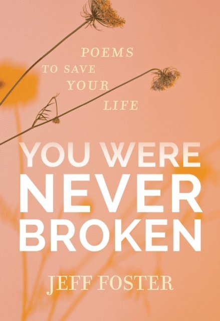 Jeff Foster - You Were Never Broken, E-bok