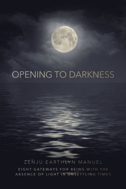 Zenju Earthlyn Manuel - Opening to Darkness, E-bok