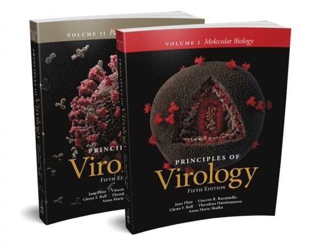 Anna Marie Skalka, Theodora Hatziioannou, Glenn F. Rall, Vincent R. Racaniello, Jane Flint - Principles of Virology, E-bok