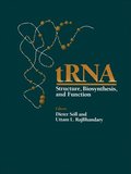 tRNA - Structure, Biosynthesis, and Function
