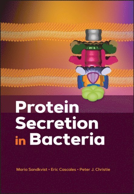 Peter J. Christie, Eric Cascales, Maria Sandkvist - Protein Secretion in Bacteria, E-bok