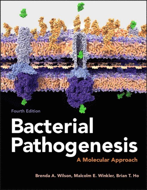 Brian T. Ho, Malcolm Winkler, Brenda A. Wilson - Bacterial Pathogenesis, E-bok